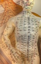 China Health Ipswich - Acupuncture